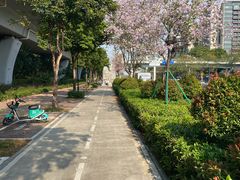 -宝安西湾红树林湿地公园