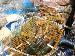 波士顿龙虾-盒马鲜生(馥邦国际店)