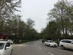 -思念果岭悦温泉