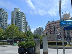 -中港汇大厦