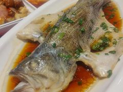 清蒸鲈鱼-双东酒店(东关街店)
