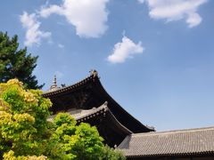 -善化寺