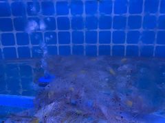 水产区-面道赞宁海海鲜面(迎凤街店)