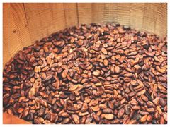 -歌斐颂巧克力小镇