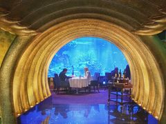 -迪拜帆船酒店海底餐厅