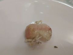 -北方饺子王·海肠捞饭·海鲜锅(山大店)