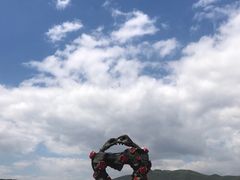 -亚龙湾国际玫瑰谷