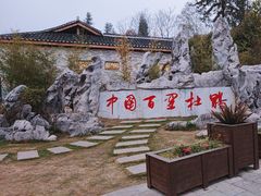 -贵州百里杜鹃风景名胜区
