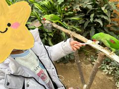 -南宫五洲植物乐园