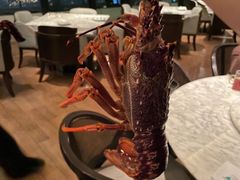 -无锡苏宁银河国际酒店-悦府65中餐厅