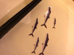 餐具摆设-原製原味(普陀山磐龙店)