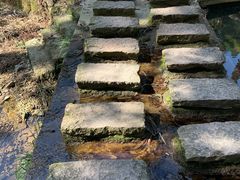 -东天目山风景区