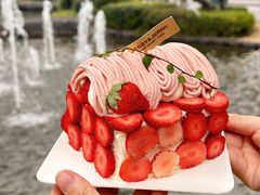 -卷心卷意·轻甜蛋糕(新光天地店)