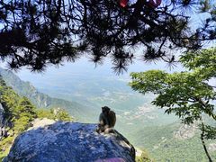-庐山风景名胜区