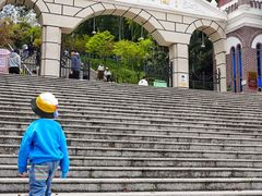 -上海佘山国家森林公园西佘山园