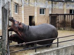 -合肥野生动物园