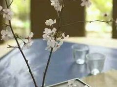 -乐享养生(东湖店)