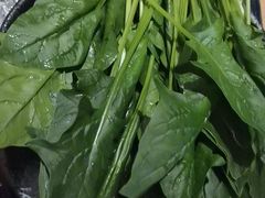 -湊湊火锅·茶憩(皇姑万象汇店)