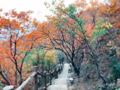 -周口店坡峰岭风景区