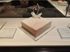 -BLACKSWAN黑天鹅(环球店)