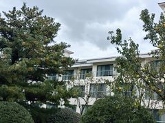 -棕榈岛海鲜自助餐厅(虹桥迎宾馆店)