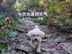 -双龙峡