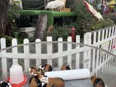 -广州长隆国际大马戏