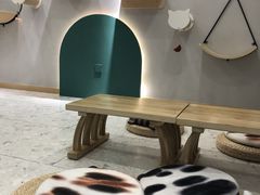 -飞行喵MR PILOT|猫舍·猫咖(静安大融城店)