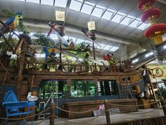 -南宫五洲植物乐园