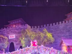 -《驼铃传奇》秀