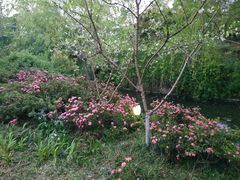 -荆川公园