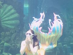 -顺德南宏海立方海洋公园