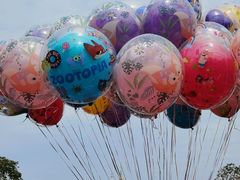 -上海迪士尼度假区