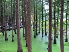 -云龙湖旅游景区