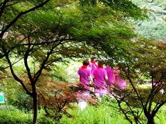 -龙头寺公园