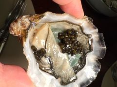 绿翡翠生蚝+卡露伽鱼子酱-普朗姆生蚝吧(原建国路店)