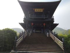 -大唐贡茶院