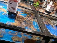 水产区-盒马鲜生(和谐广场店)