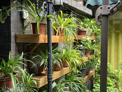 -花楸树下(观水路店)
