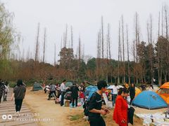 -秀丽东方