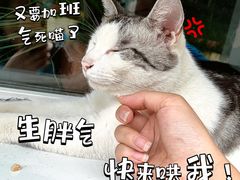 -北京市海淀区翠微小学