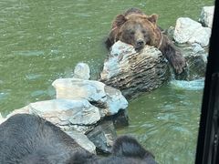-北京野生动物园