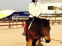 -松声马术俱乐部