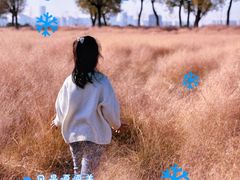 -汉长安城未央宫国家考古遗址公园