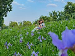 -白鹭湾湿地公园