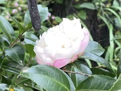 -苍山世界地质公园·石门关大峡谷