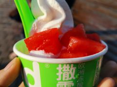 -Salud撒露欧洲冻酸奶(蓝色港湾店)