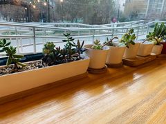 -Cafe Villa