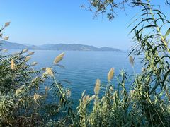 -逸廊大堂吧-下午茶·简餐-千岛湖自由洲际殿