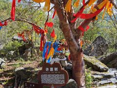 -叠溪松坪沟景区